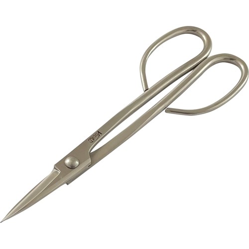 Modern inch bonsai pruning - modern,