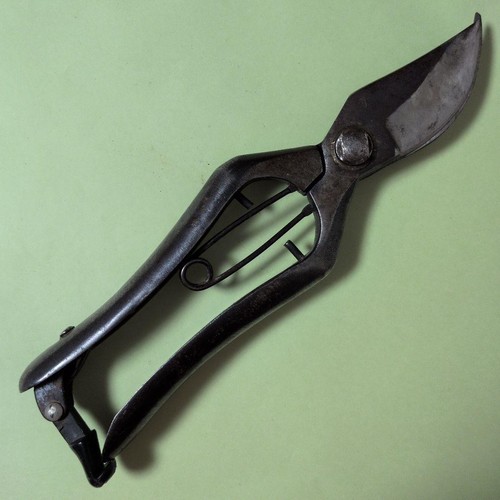 Japanese bonsai pruning shears - pruning,