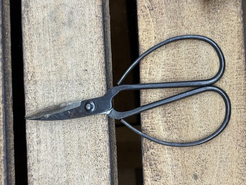 Bonsai pruning shears - shears, utility