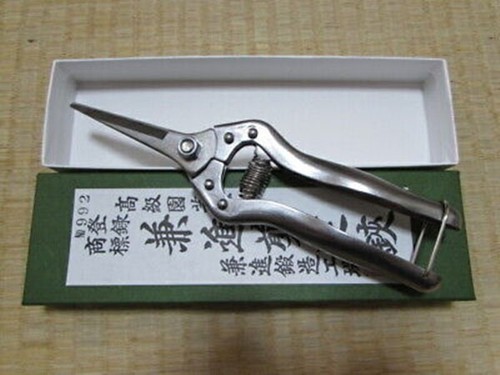 Kaneshin bonsai pruning - kaneshin,