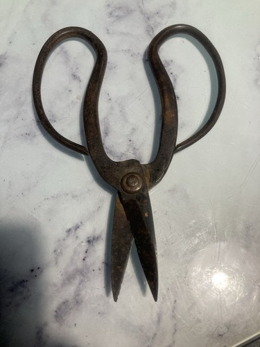 Antique bonsai pruning - antique,