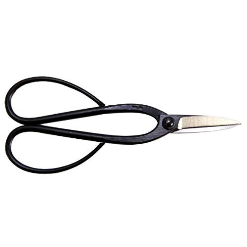 Kikuwa bonsai pruning shears - pruning,
