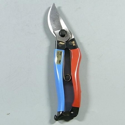 Kaneshin left hand - kaneshin, pruning