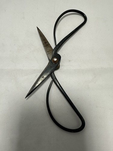 Vintage bonsai pruning - bonsai, shears