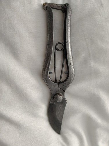 Antique sentei basami shears - sentei-basami,