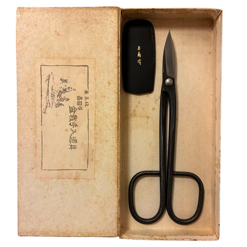 Masakuni bonsai pruning - no.53,