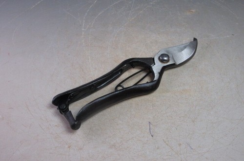 Japanese bonsai pruning shears - pruning,