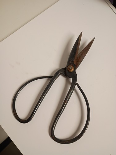 Bonsai pruning shears - bonsai,