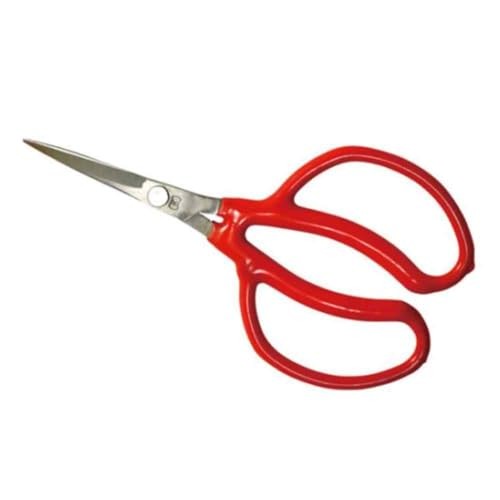 Kikuwa gardening pruning - kikuwa,