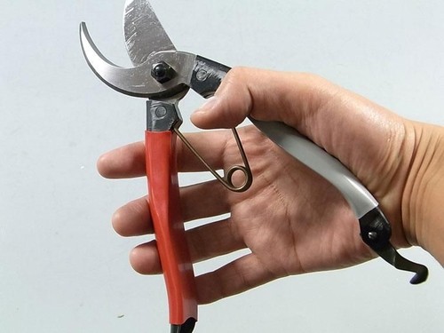 Kaneshin new pruning shears - pruning,