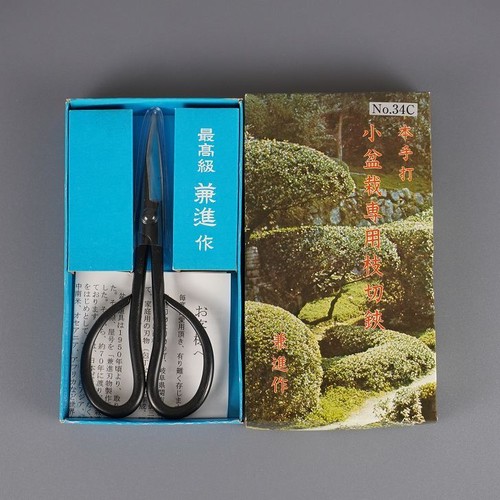 Japanese bonsai pruning - bonsai,