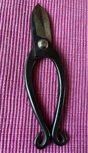 Narifusa bonsai pruning - narifusa, shears