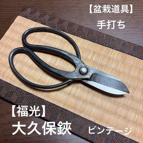 Fukumitsu bonsai pruning - fukumitsu,