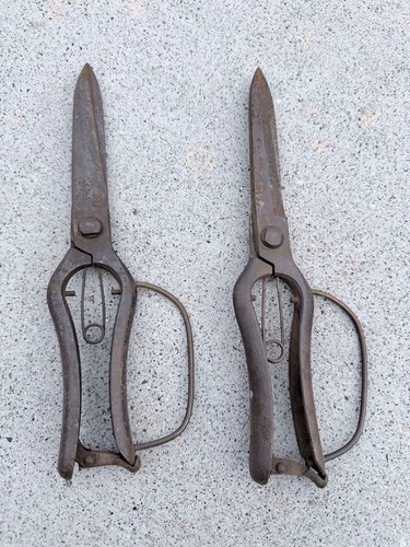 Bonsai tool pruning - bonsai, shears