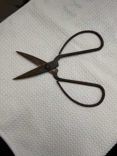 Bonsai pruning shears - bonsai, utility