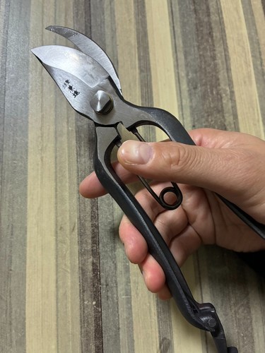 Hand forged pruning shears - pruning,