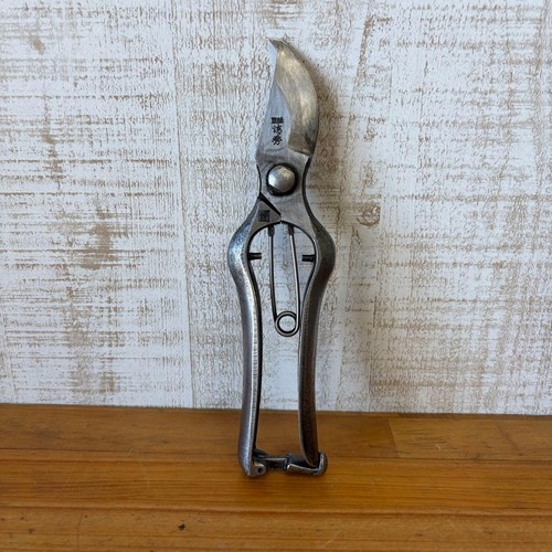 Kiyohide japanese pruning - kiyohide,