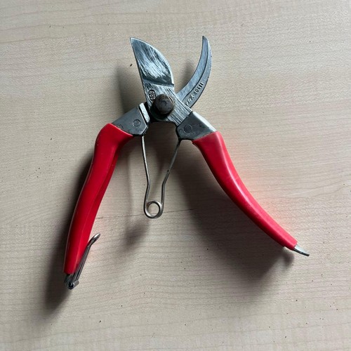 Ars 120s pruning shears s - ars,