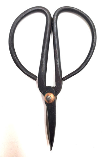 Bonsai pruning shears - pruning,
